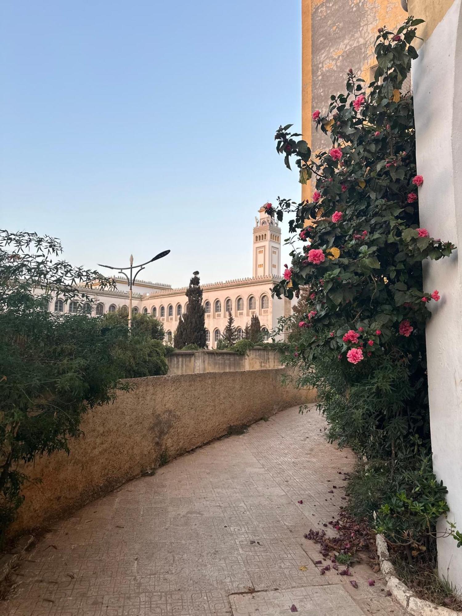 Baie D'Alger Apartment Exterior photo